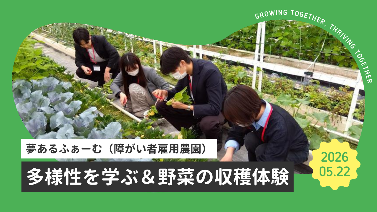 画像は差替え